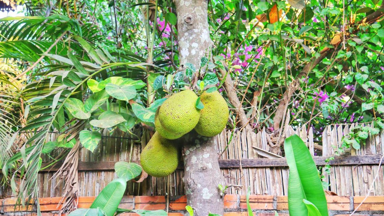 Ella'S Villa Siem Reap Exteriér fotografie